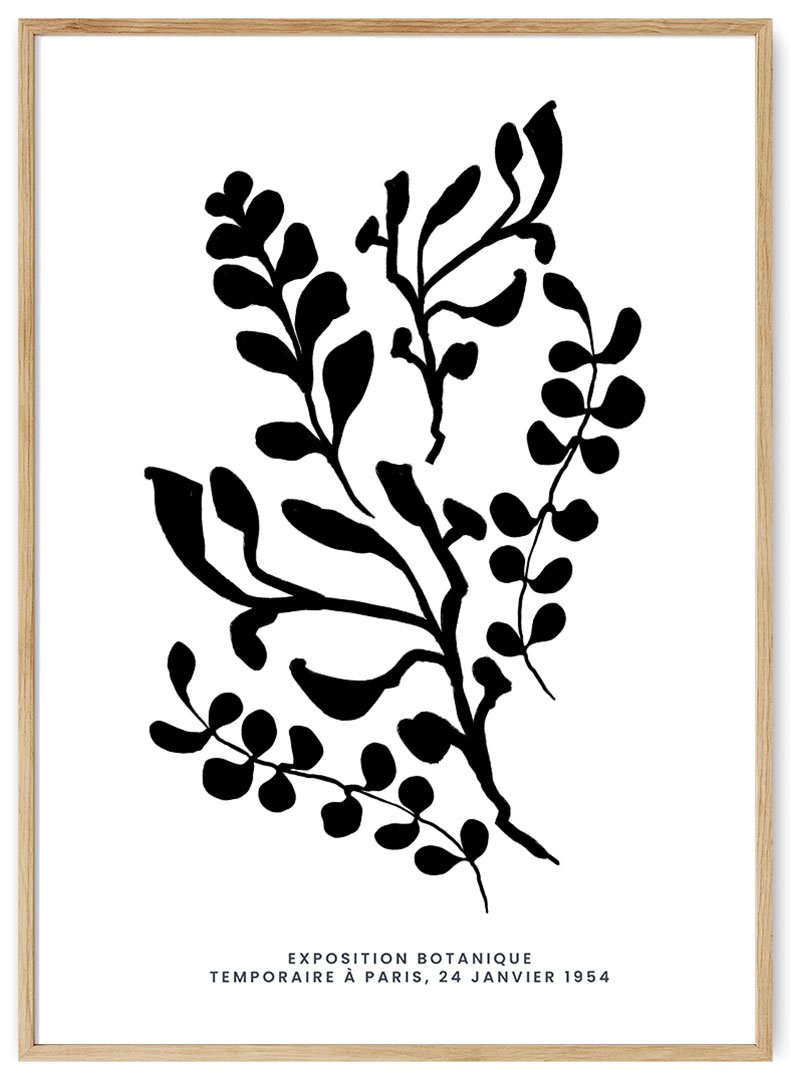 augalu sakeles plakatas-2