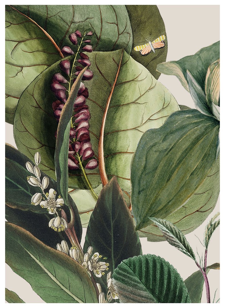 vintaziniai_lapai_plakatas