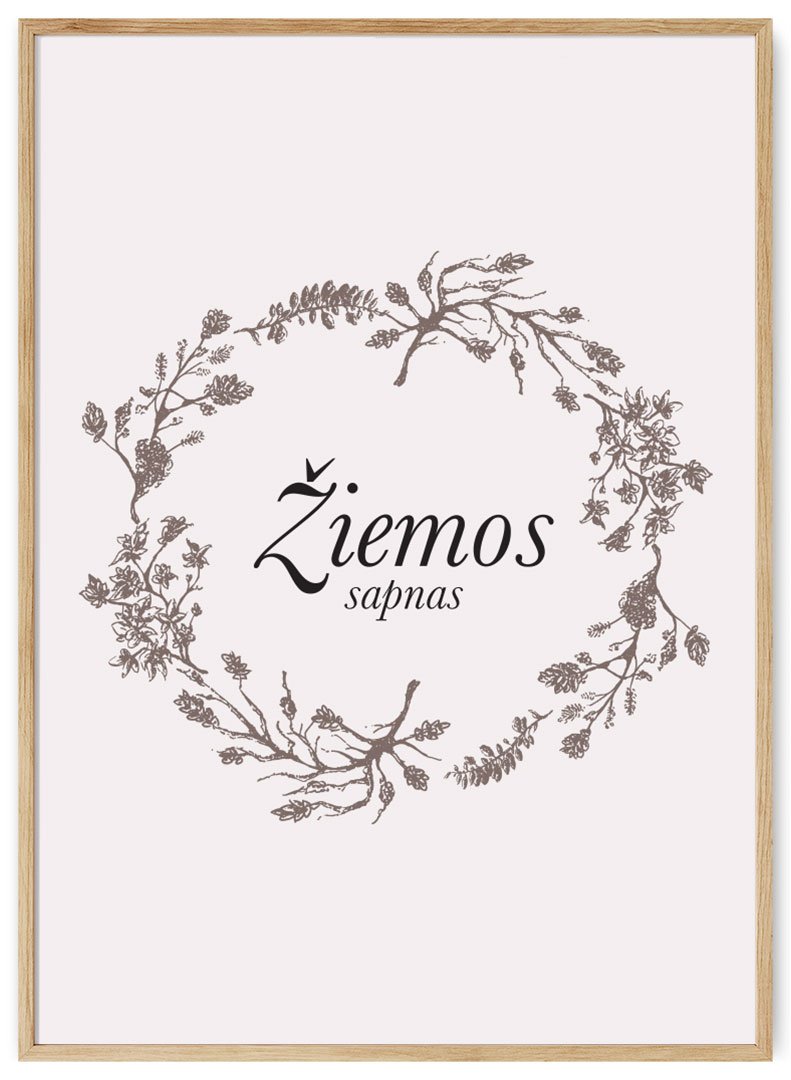 ziemos sapnas plakatas