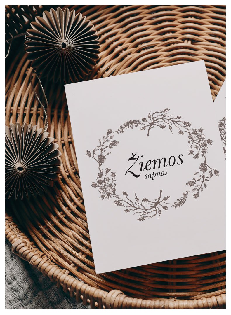 ziemos sapnas plakatas2