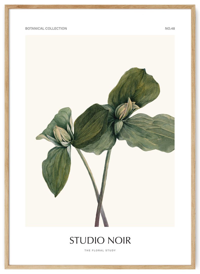 besiskleidziantis augalas plakatas