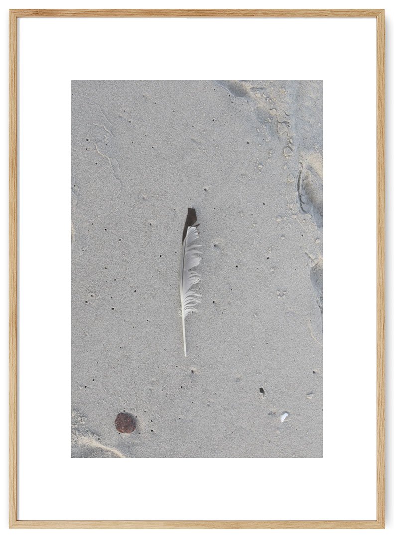 plunksna ant smelio plakatas