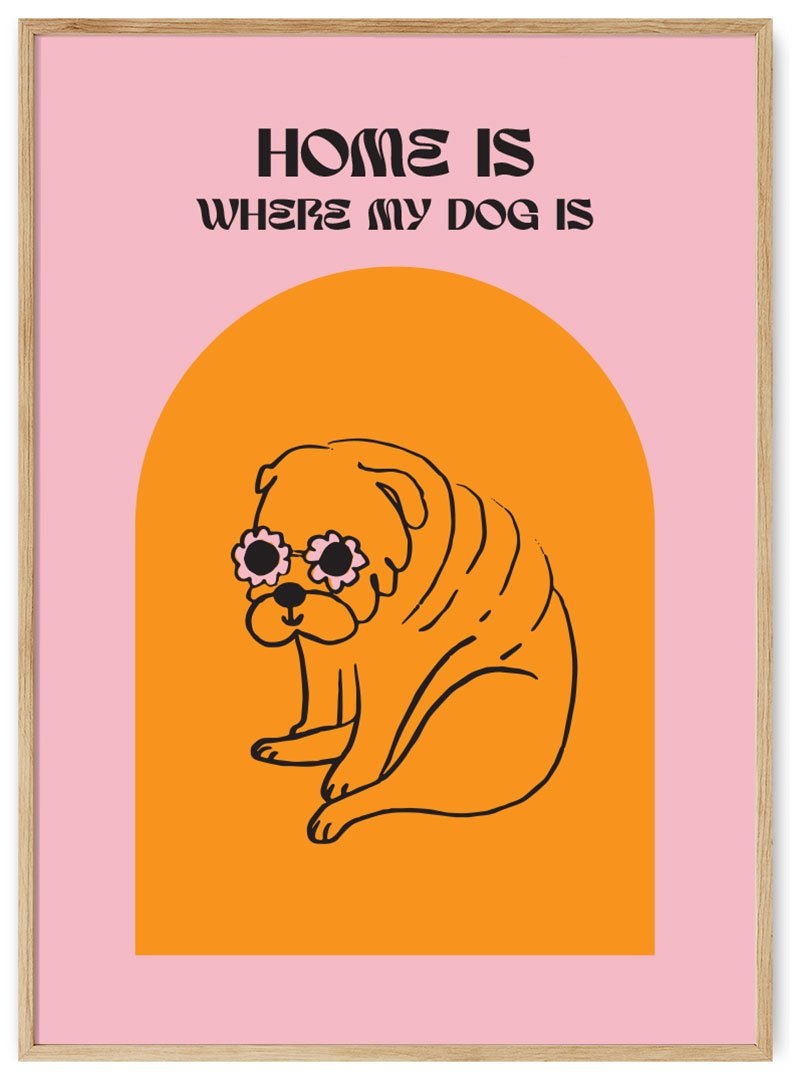 namai kur suo plakatas-1