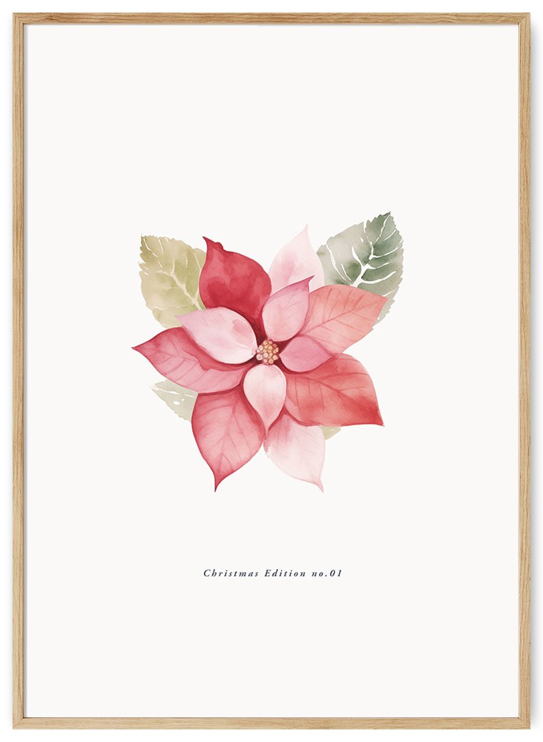 puansetijos ziedas plakatas